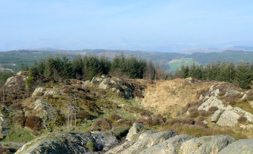 Fairfield Fairfield